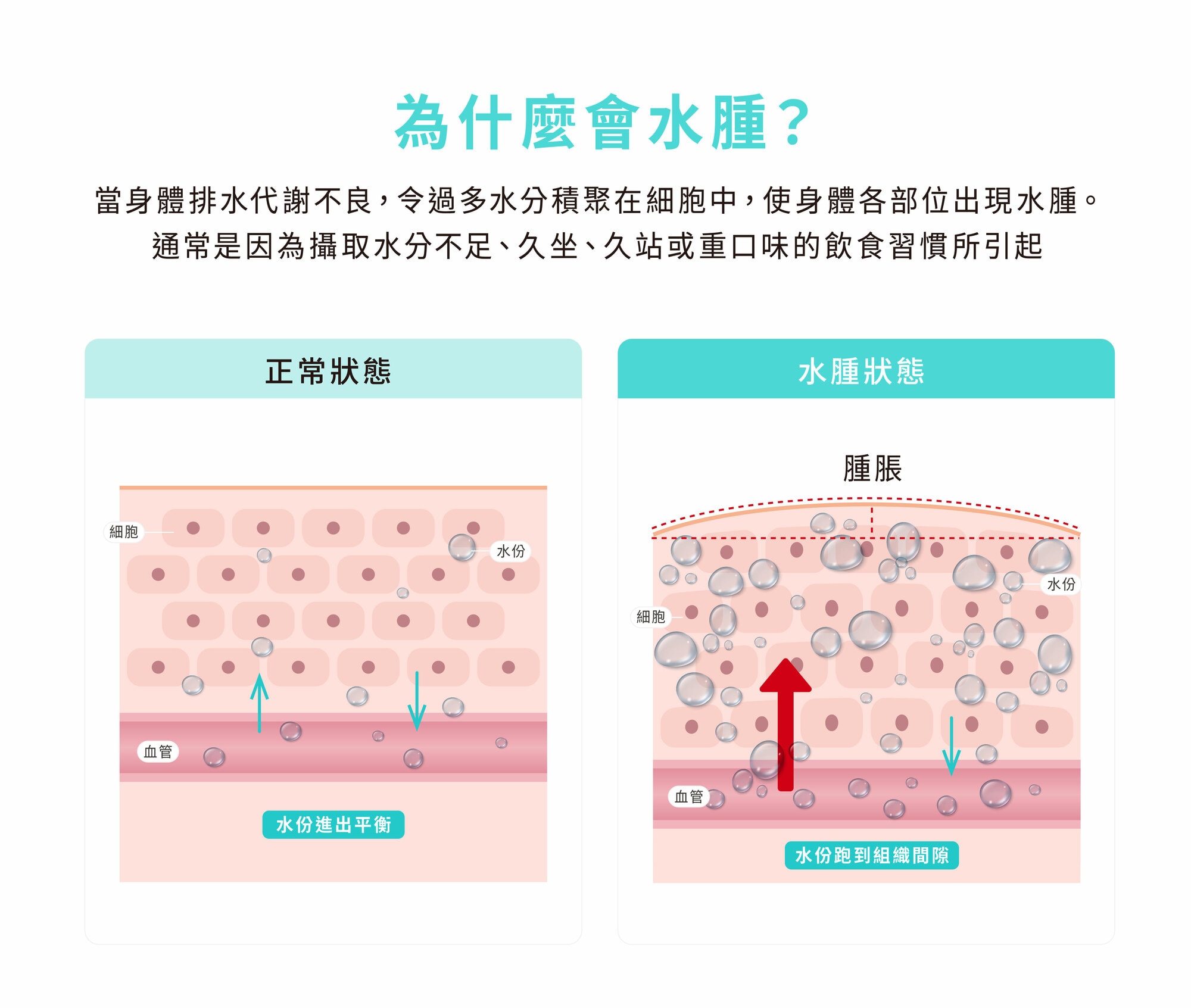 EMAY PLUS 雙用提拉小顏儀